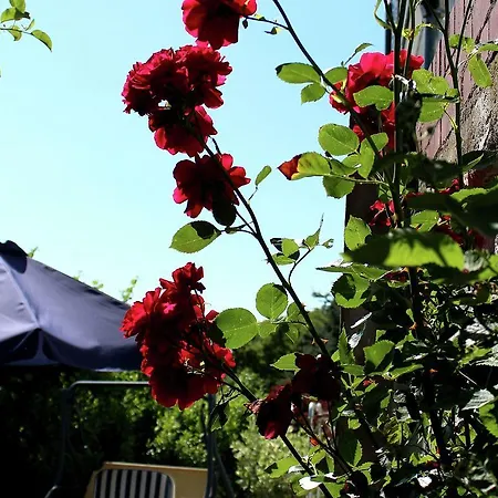 Сasa de vacaciones Ferienhaus Hartwig Benzweiler